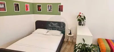 Apartament cu o camera pivnita zona Centrala - foto 13