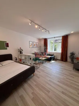 Apartament 1 camera Sibiu - poza 5
