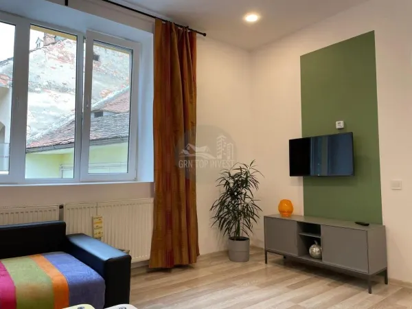 Apartament 1 camera Sibiu - poza 7