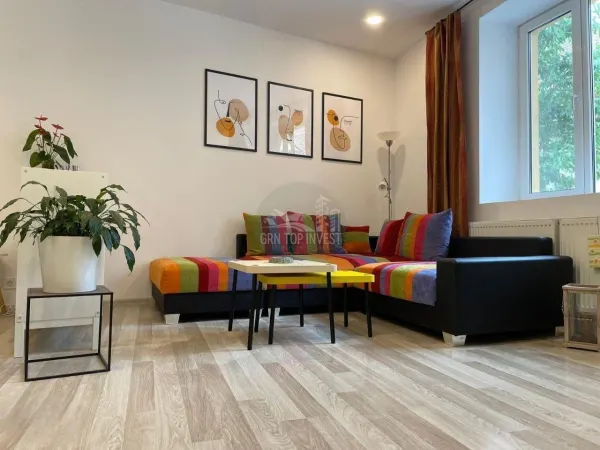 Apartament 1 camera Sibiu - poza 9