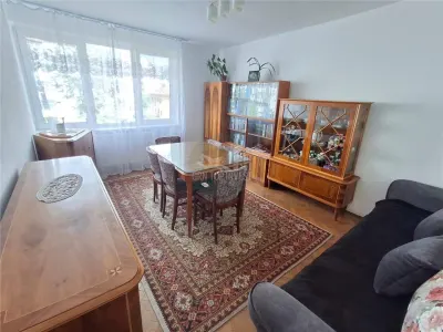 Apartament 2 camere decomandat etaj 2 Terezian - foto 1