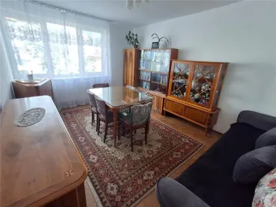 Apartament 2 camere decomandat etaj 2 Terezian - foto 12