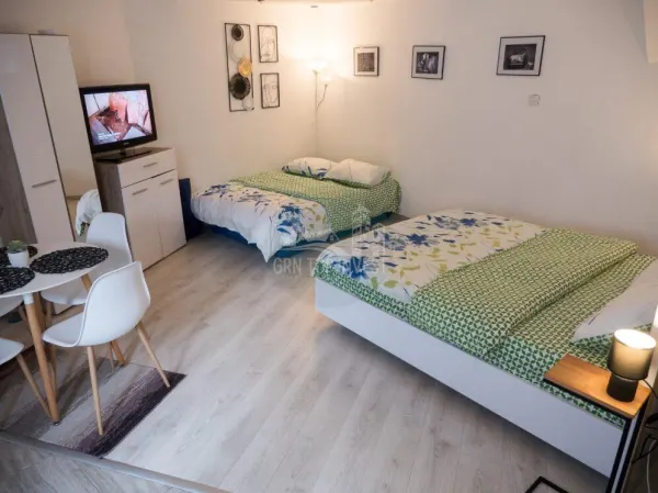 Apartament 1 camera Sibiu - poza 3