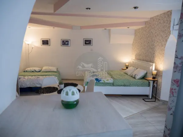 Apartament 1 camera Sibiu - poza 4