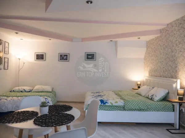 Apartament 1 camera Sibiu - poza 5