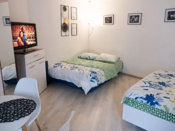 Apartament 1 camera Sibiu - poza 8