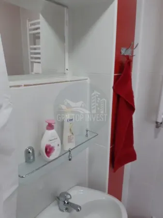 Apartament 1 camera Sibiu - poza 10