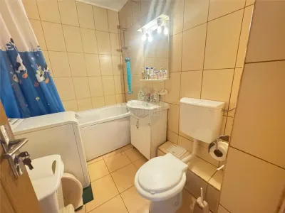 Apartament decomandat cu 2 camere zona Vasile Aaron - foto 9