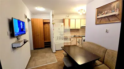 Apartament 2 camere 47 mpu  zona Turnisor - foto 5