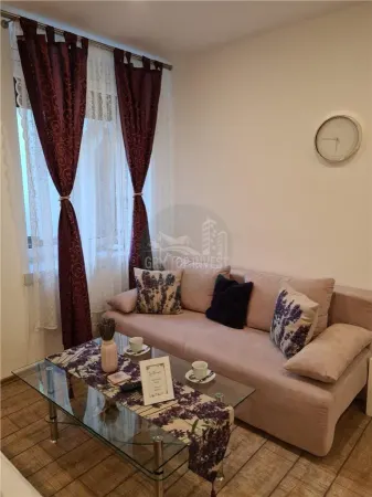 Apartament 1 camera Sibiu - poza 2