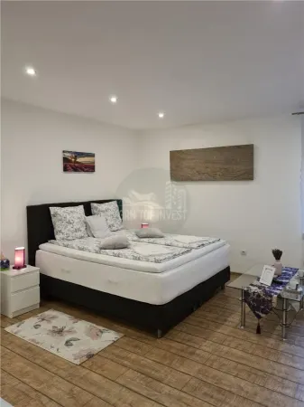 Apartament 1 camera Sibiu - poza 3