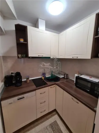 Apartament 1 camera Sibiu - poza 4
