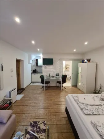 Apartament 1 camera Sibiu - poza 6