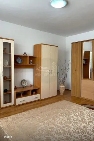 Apartament 1 camera Sibiu - poza 3
