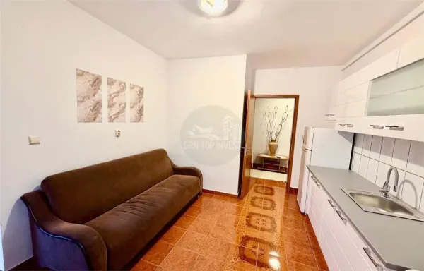 Apartament 1 camera Sibiu - poza 4