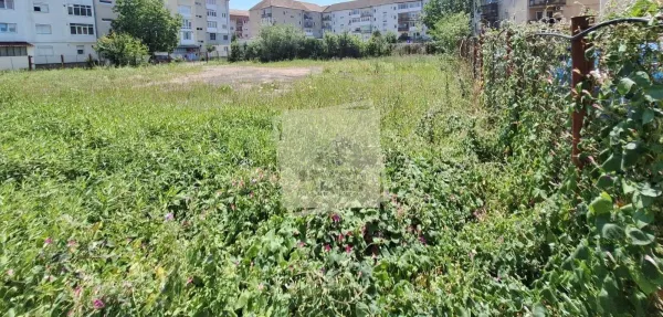Teren Sibiu - poza 2