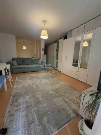 Apartament 1 camera Sibiu - poza 1