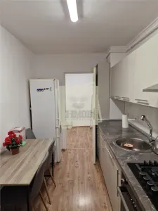 Apartament 3 camere cu pivnita zona Terezian - foto 13