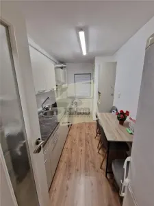 Apartament 3 camere cu pivnita zona Terezian - foto 15