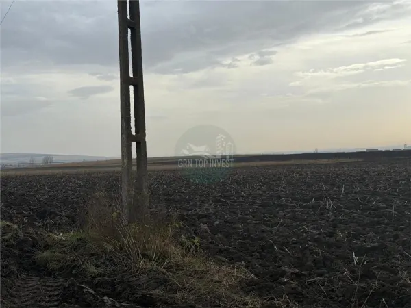 Teren Șura Mică - poza 3