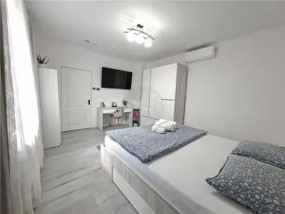 Studio curte proprie 150 mp la casa zona Centrala - foto 4
