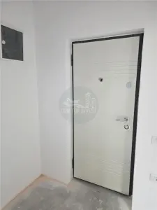 Apartament cu o camera decomandat pivnita zona Centrala - foto 4