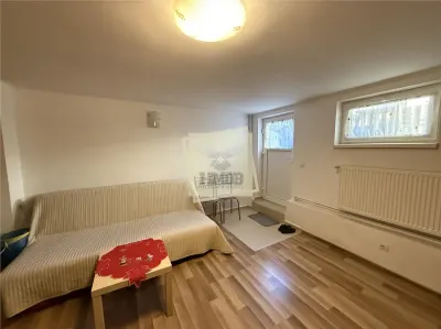 Casa mobilata 4 camere 2 bai si garaj in Turnisor - foto 3