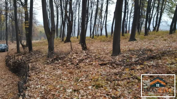 Teren Iași - poza 1