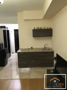 Copou, Apartament 1 camera, Exclusive Residence - foto 3