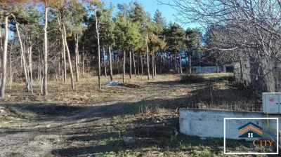 Oportunitate! Bucium, Strada Boiangiu, construcție și 2800 mp teren - foto 3