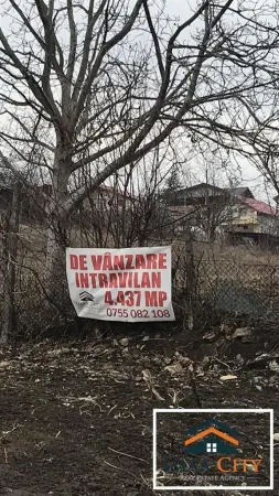 Teren Iași - poza 2
