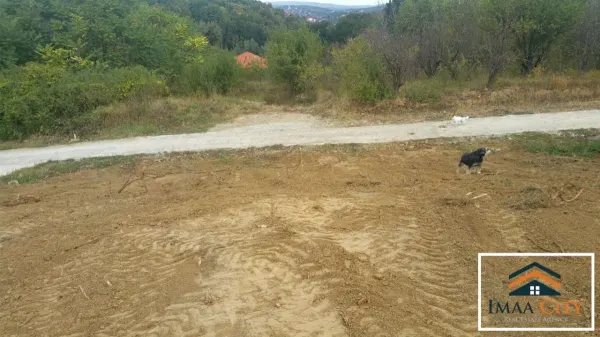 Teren Iași - poza 6