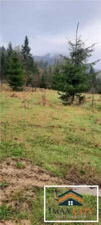 Garsonieră Podu Iloaiei - poza 2