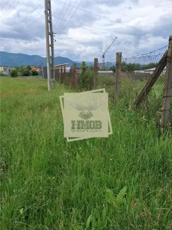 Teren Cisnădie - poza 3