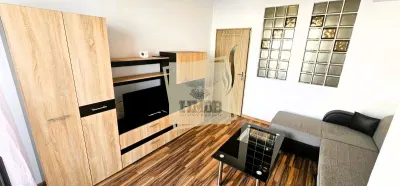 Apartament 2 Camere 45 Mpu Balcon Doamna Stanca - foto 4