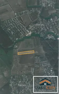 Teren vanzare, 64395 mp, Tamasi, Ostratu - foto 7