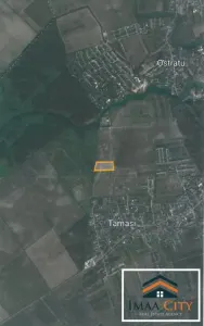 Teren vanzare, 64395 mp, Tamasi, Ostratu - foto 9