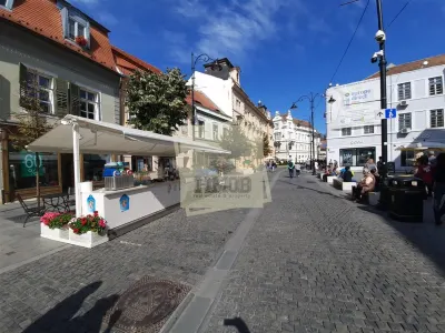 Spatiu comercial 114 mp utili 2 camere pe Bulevardul Balcescu din Sibiu - foto 4