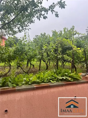 Casă 4 camere Iași - poza 4