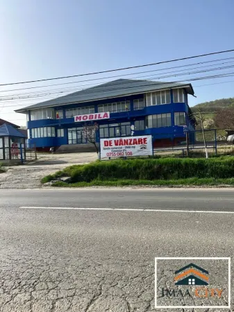 Spațiu comercial Tomești - poza 1