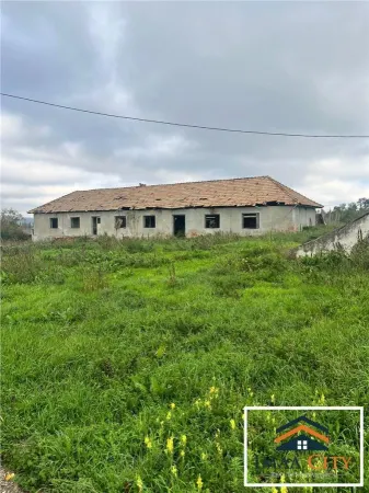 Casă 10 camere Tibanesti - poza 10