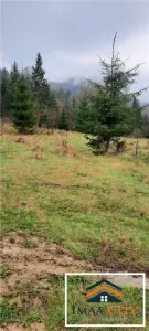Teren intravilan de vânzare – Malini, Suceava - foto 2