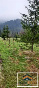 Teren intravilan de vânzare – Malini, Suceava - foto 4