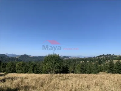 20 ari teren intravilan, Piatra Fantanele - foto 5