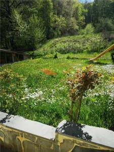Casa D+P sub padure, zona Sud - foto 19