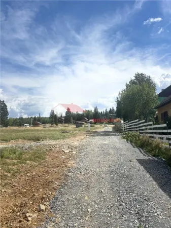 Teren Colibita - poza 3