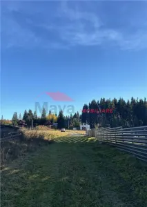 Teren intravilan, iesire Lac - foto 3