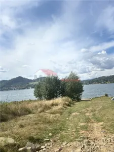 Teren Colibita - poza 6