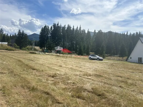 Teren Colibita - poza 7