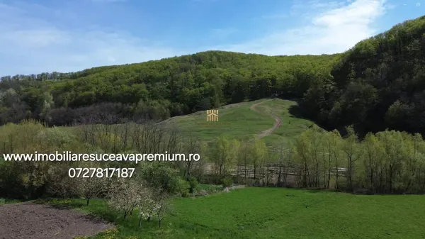 Casă 7 camere Patrauti - poza 6